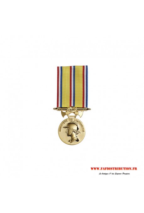 Médaille ancienneté SAPEURS POMPIERS 30 ans
